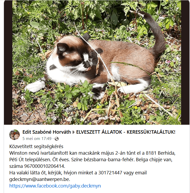 winston facebook mk3Dz01QNqcw9eXB