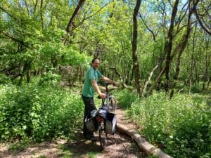 Paadje door het bos