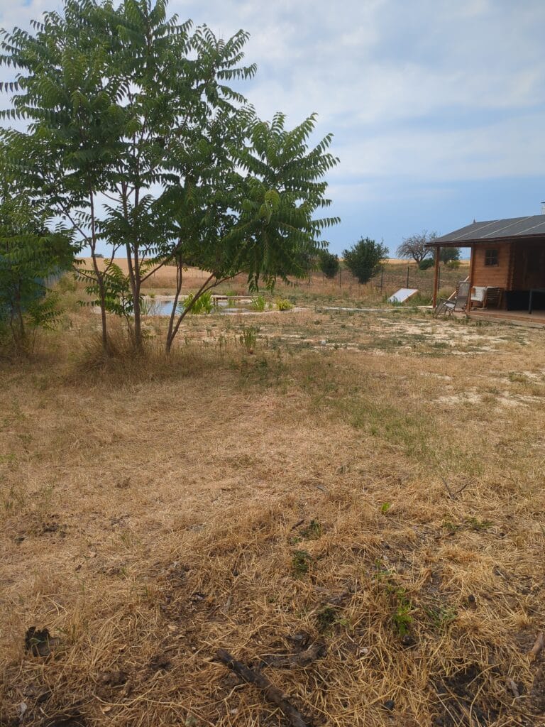 IMG 20250704 132748 080