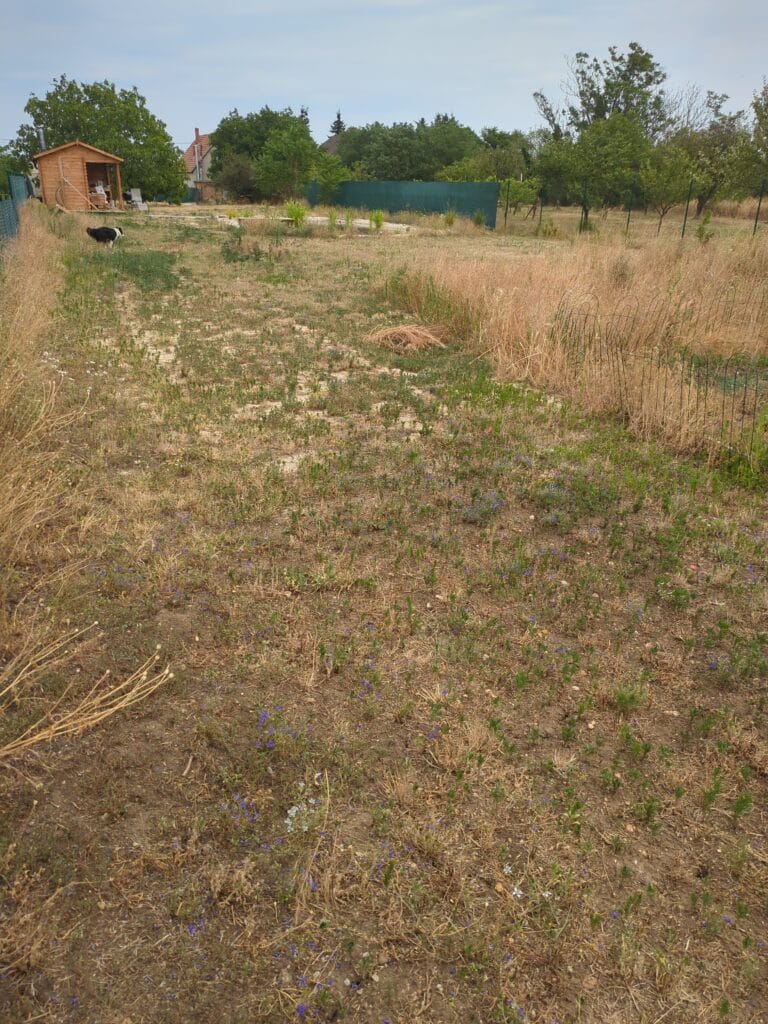 IMG 20250704 132902 265