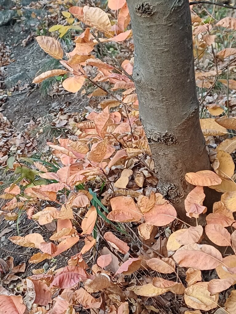 20251031 162439