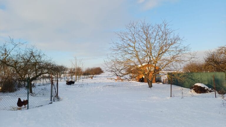 Winter in Hongarije