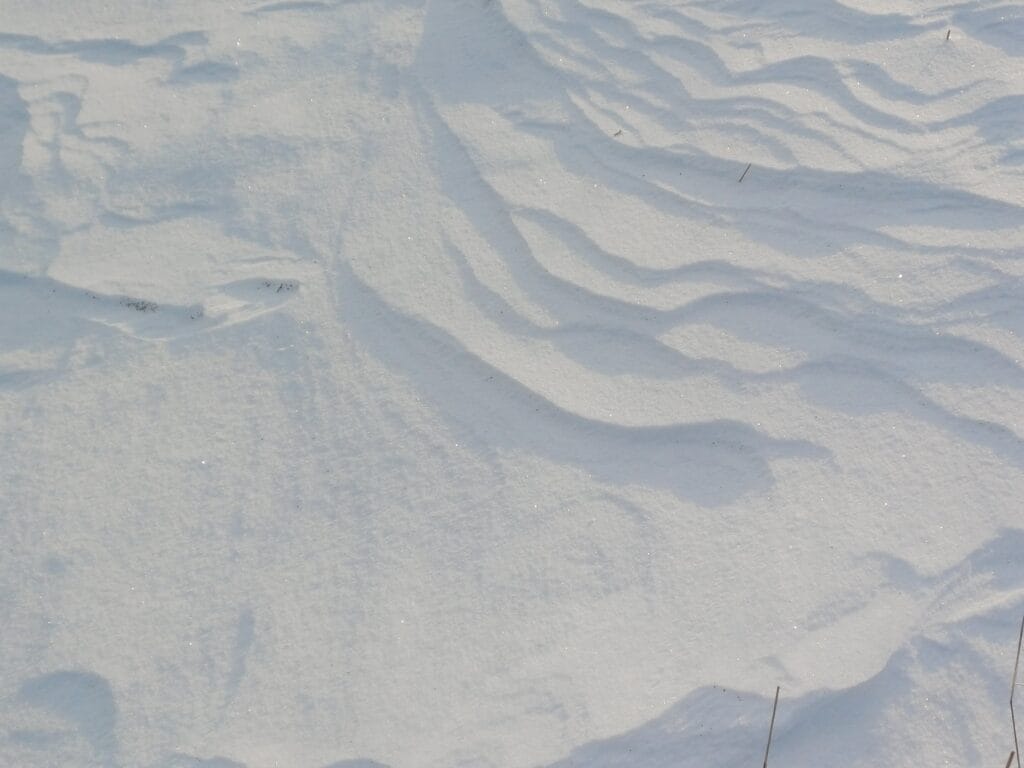 sneeuw1