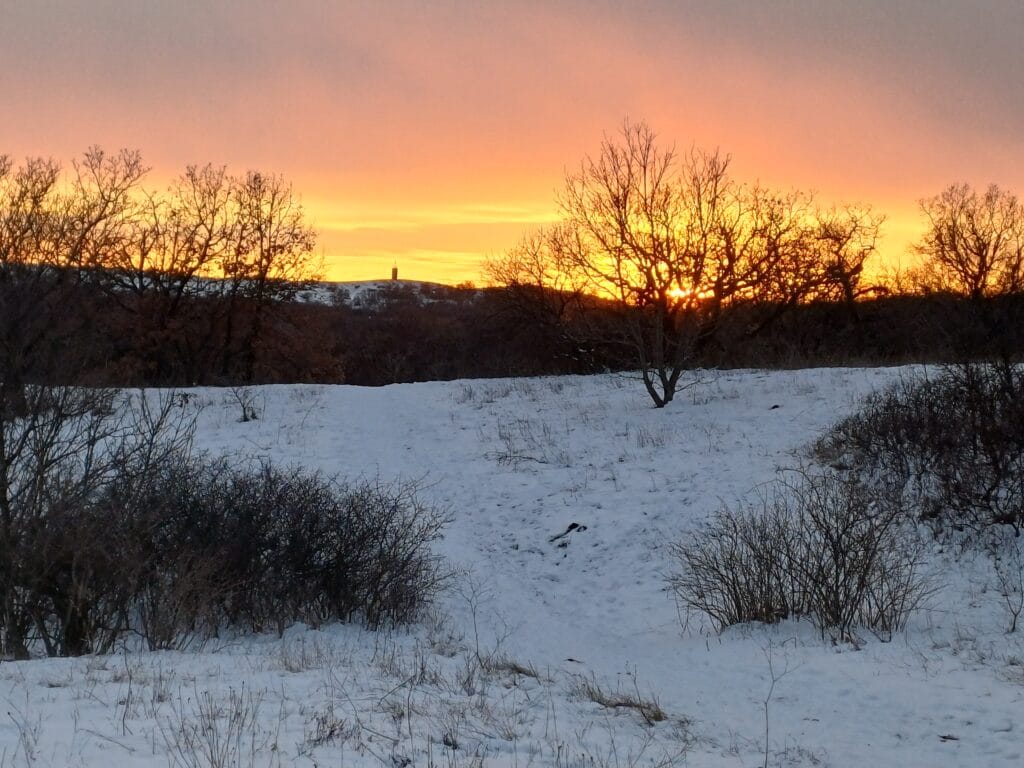 wandel1